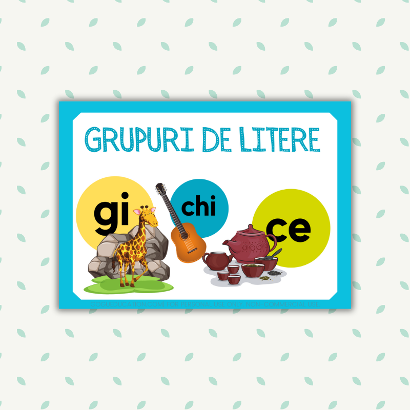 Romanian Grupuri de Litere Gogu Education