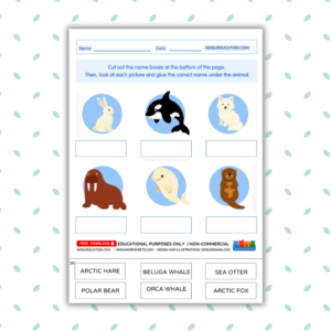 Arctic Animals Cut and Paste worksheet showing illustrations of a polar bear, reindeer, and arctic fox with blank boxes for students to glue the correct names.
