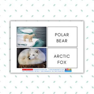 Preview GoguWorksheets.com – English Vocabulary Photographic Arctic Animals Flashcards for Speech Therapy - GoguEducation.com