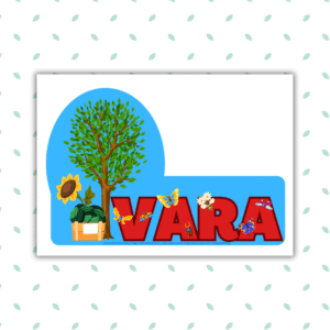 Wall Words Seasons Anotimpuri Gogu Education