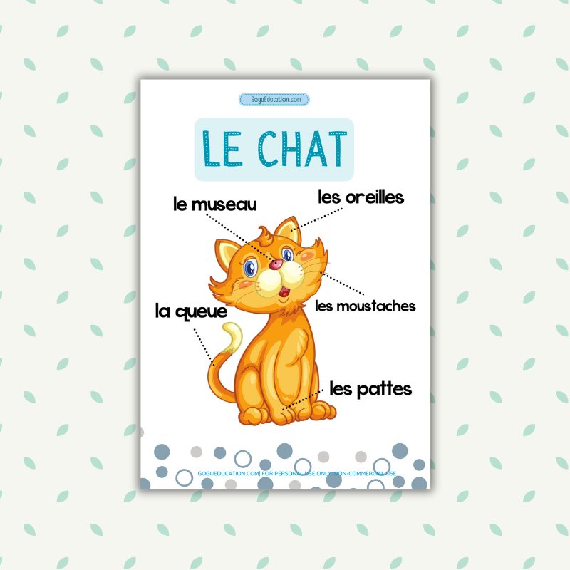 Les Parties du Corps du Chat French Vocabulary Cat Le chat