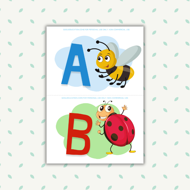 Romanian Alphabet ABC Flashcards