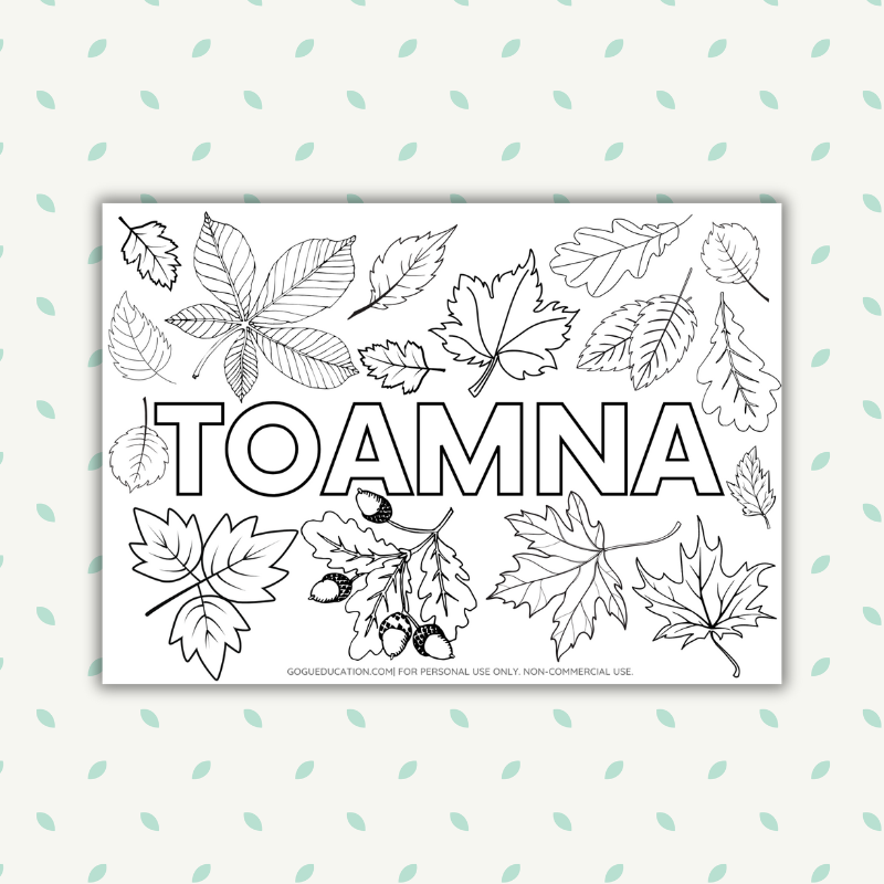 Coloring Worksheet Toamna