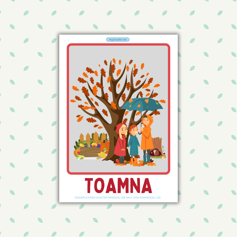 Romanian Seasons Flashcards Anotimpuri